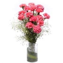 12 Pink Carnations In Vase